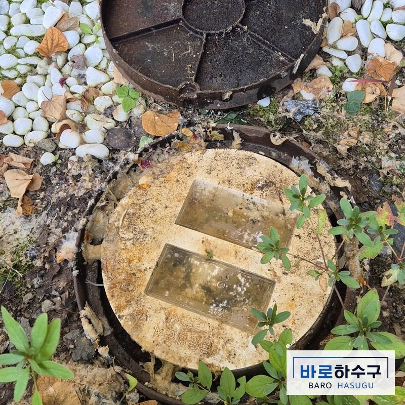 용인 수지구 아파트 화단 오수받이, 넘친 오수와 휴지 찌꺼기가 뚜껑 둘레에 말라붙은 작업 전 모습